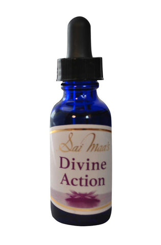 Divine Action