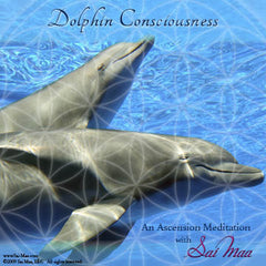 Dolphin Consciousness - audio download