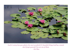 Greeting card: Lotus pond
