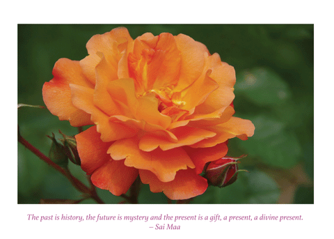 Greeting Card: Rose
