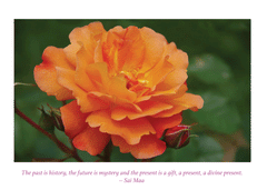 Greeting Card: Rose